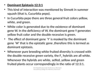 Dr.V.Malathi,Associate Professor in Biochem
istry,Ethiraj College for Women,Chennai-8
• Dominant Epistasis-12:3:1
• This kind of interaction was mentioned by Sinnott in summer
squash (that is, Cucurbita pepo).
• In Cucurbita pepo there are three general fruit colors yellow,
white, and green.
• White color is generated due to the existence of dominant
gene W. In the deficiency of W, the dominant gene Y generates
yellow fruit color and the double recessive is green.
• The effect of dominant gene `Y' is masked by the dominant
gene `W' that is the epistatic gene ,therefore this is termed as
dominant epistasis.
• Whenever pure breeding white fruited diversity is crossed with
the double recessive green variety, the F1 hybrids are all white.
Whenever the hybrids are white, selfed, yellow and green
fruited plants occur correspondingly in the ratio of 12:3:1.
 