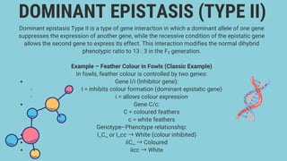 gene interaction also called as epistatic interactions and its types | PDF