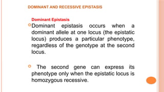 Gene interactions and epistasis in crops.pptx