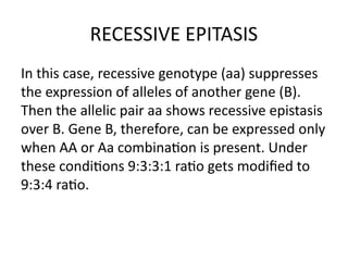 GENE INTERACTION AND EPISTASIS (GENETICS) | PPTX