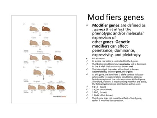 Gene interaction ppt | PPTX