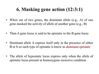 6. Masking gene action (12:3:1)
• When out of two genes, the dominant allele (e.g., A) of one
gene masked the activity of allele of another gene (e.g., B)
• Then A gene locus is said to be epistatic to the B gene locus
• Dominant allele A express itself only in the presence of either
B or b so such type of epistatic is know as dominant epistatic
• The allele of hypostatic locus express only when the allele of
epistatic locus present in homozygous recessive condition
 