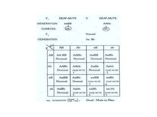 Gene Interaction ppt.pptx ....... incomplete dominance