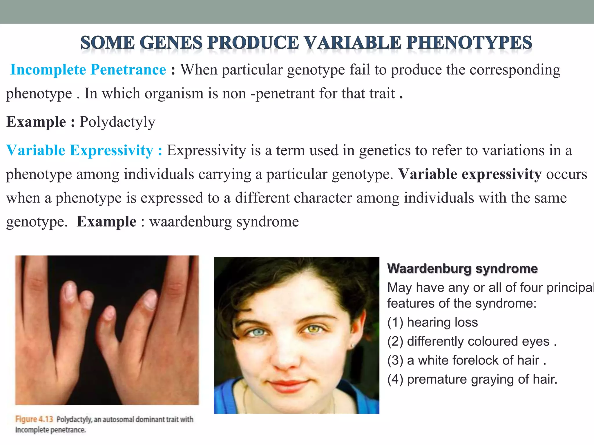Incomplete Penetrance : When particular genotype fail to produce the corresponding
phenotype . In which organism is non -penetrant for that trait .
Example : Polydactyly
Variable Expressivity : Expressivity is a term used in genetics to refer to variations in a
phenotype among individuals carrying a particular genotype. Variable expressivity occurs
when a phenotype is expressed to a different character among individuals with the same
genotype. Example : waardenburg syndrome
Waardenburg syndrome
May have any or all of four principal
features of the syndrome:
(1) hearing loss
(2) differently coloured eyes .
(3) a white forelock of hair .
(4) premature graying of hair.
 