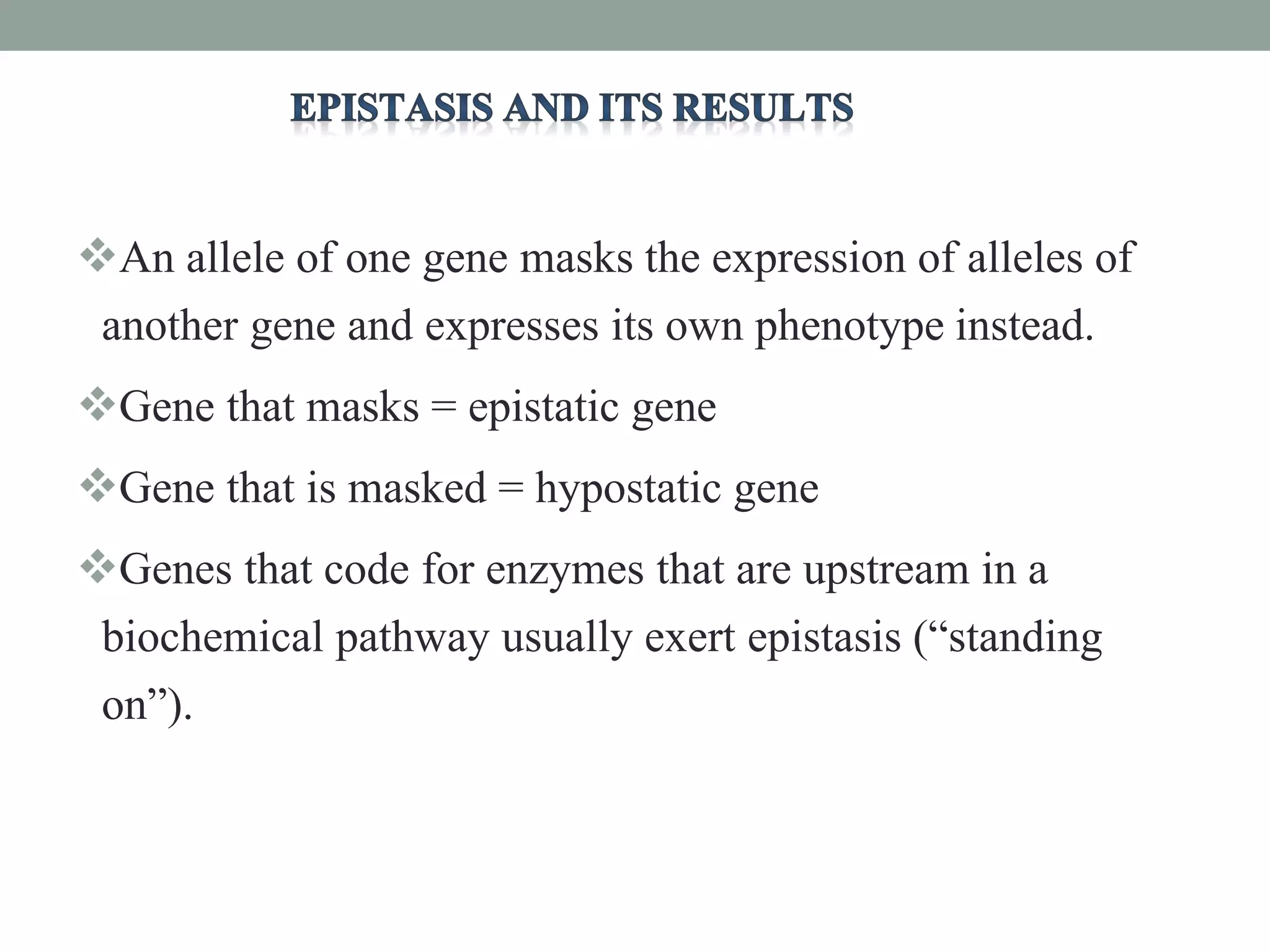 An allele of one gene masks the expression of alleles of
another gene and expresses its own phenotype instead.
Gene that masks = epistatic gene
Gene that is masked = hypostatic gene
Genes that code for enzymes that are upstream in a
biochemical pathway usually exert epistasis (“standing
on”).
 