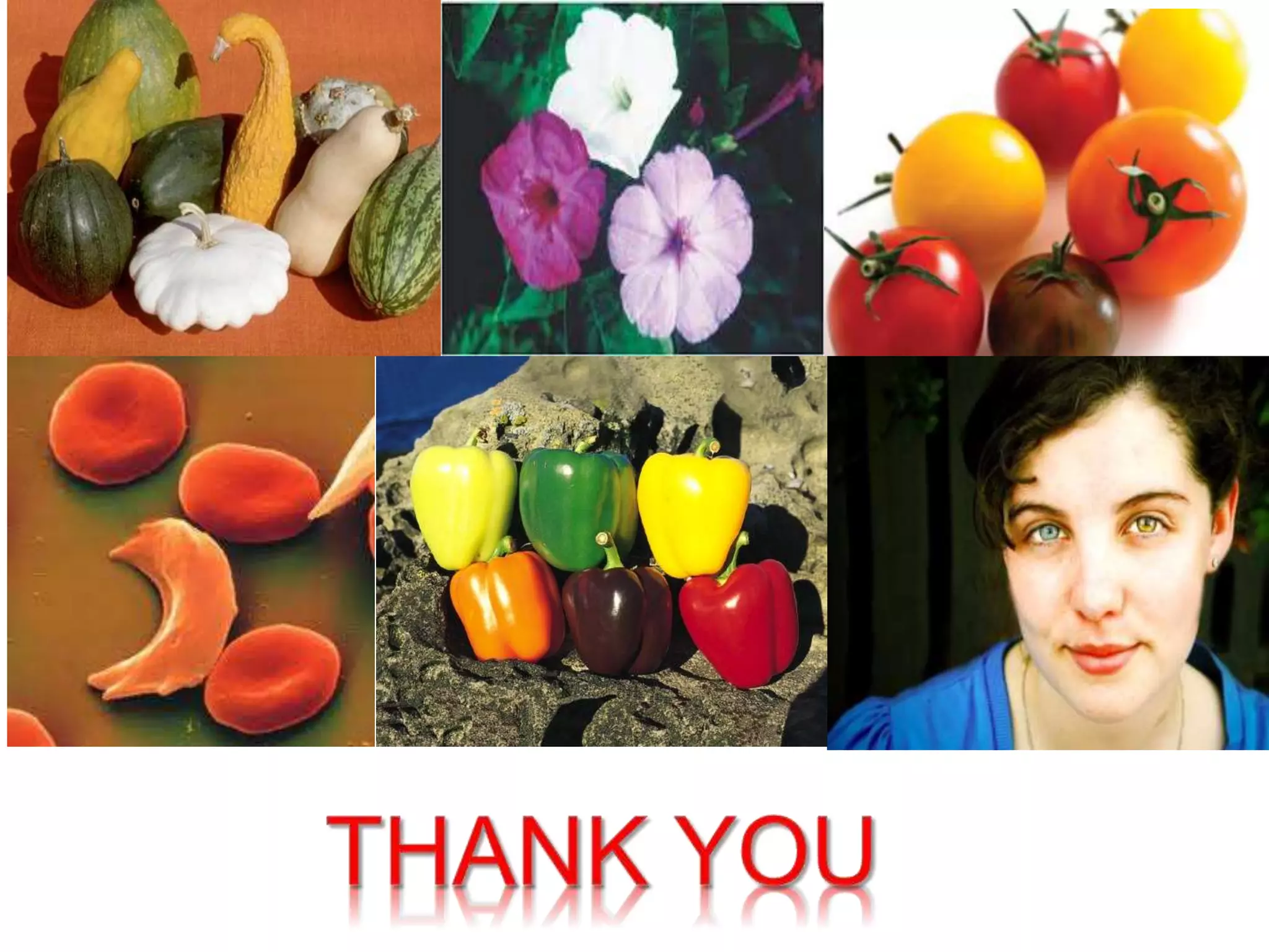 Gene interaction ppt 