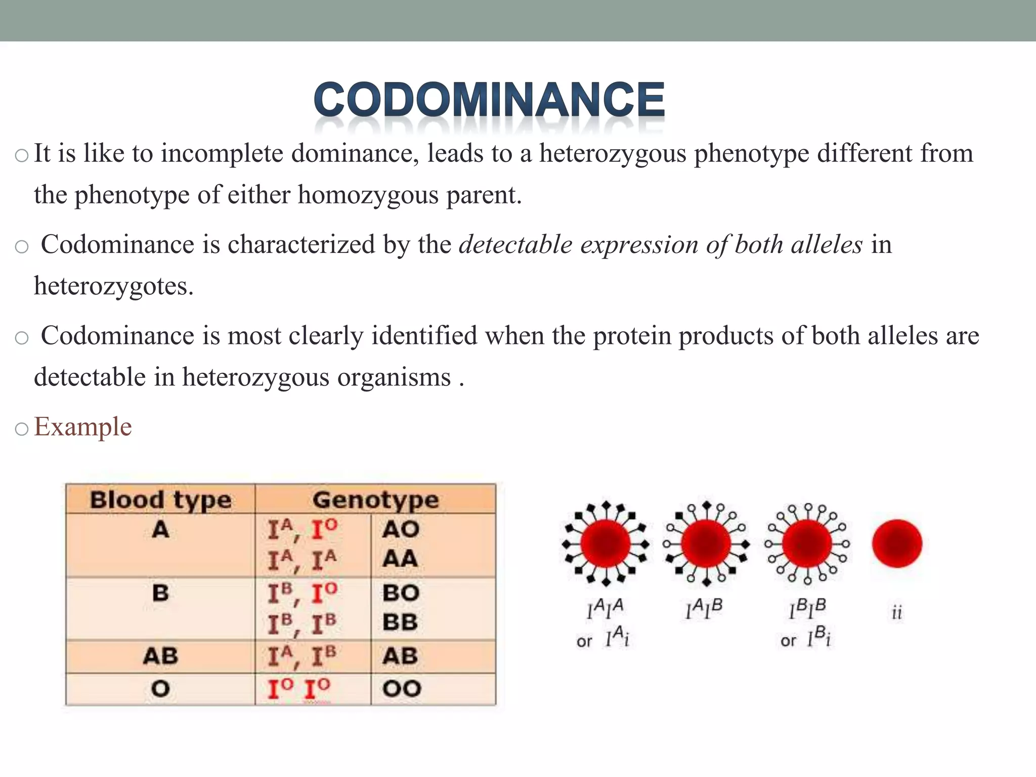 oIt is like to incomplete dominance, leads to a heterozygous phenotype different from
the phenotype of either homozygous parent.
o Codominance is characterized by the detectable expression of both alleles in
heterozygotes.
o Codominance is most clearly identified when the protein products of both alleles are
detectable in heterozygous organisms .
oExample
 