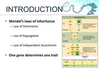 INTRODUCTION
• Mendel’s laws of inheritance
– Law of Dominance
– Law of Segregation
– Law of Independent Assortment
• One gene determines one trait
 