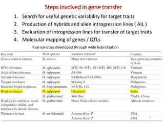 Gene introgression from wild relatives to cultivated plants | PPTX