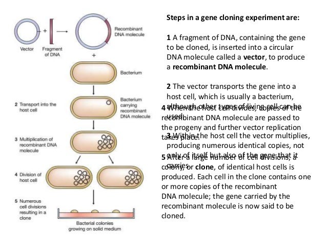 Gene Isolation Methods