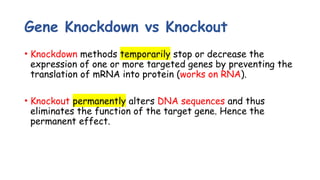 Gene knockdown by Dr. Yasmeen Abdulhadi, BDS.pptx