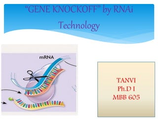 “GENE KNOCKOFF” by RNAi
Technology
TANVI
Ph.D I
MBB 605
 