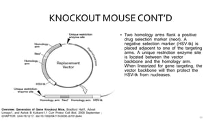Gene knockout | PPTX