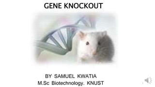GENE KNOCKOUT 
BY SAMUEL KWATIA 
M.Sc Biotechnology. KNUST 1 
 