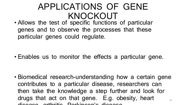 gene knockout gene knockout