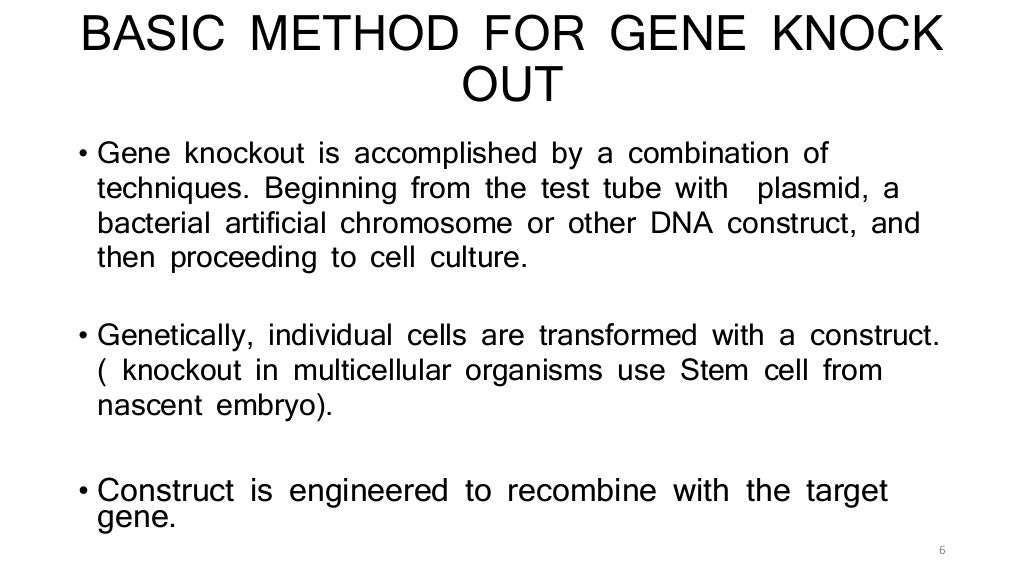 Gene knockout