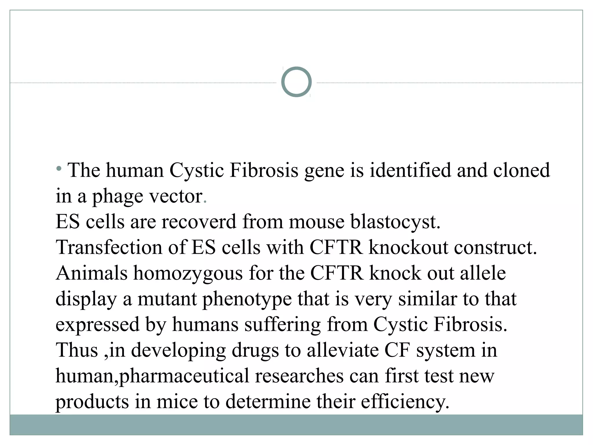 • The human Cystic Fibrosis gene is identified and cloned
in a phage vector.
ES cells are recoverd from mouse blastocyst.
Transfection of ES cells with CFTR knockout construct.
Animals homozygous for the CFTR knock out allele
display a mutant phenotype that is very similar to that
expressed by humans suffering from Cystic Fibrosis.
Thus ,in developing drugs to alleviate CF system in
human,pharmaceutical researches can first test new
products in mice to determine their efficiency.
 