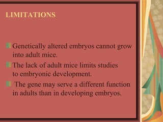 LIMITATIONS
Genetically altered embryos cannot grow
into adult mice.
The lack of adult mice limits studies
to embryonic development.
The gene may serve a different function
in adults than in developing embryos.
 