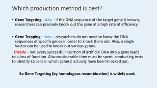 Which production method is best?
• Gene Targeting - Adv. - if the DNA sequence of the target gene is known,
researchers can precisely knock out the gene at a high rate of efficiency.
• Gene Trapping – Adv. - researchers do not need to know the DNA
sequences of specific genes in order to knock them out. Also, a single
Vector can be used to knock out various genes.
Disadv. - not every successful insertion of artificial DNA into a gene leads
to a loss of function. Also considerable time must be spent conducting tests
to identify ES cells in which gene(s) actually have been knocked out.
So Gene Targeting (by homologous recombination) is widely used.
 