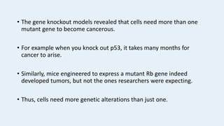 • The gene knockout models revealed that cells need more than one
mutant gene to become cancerous.
• For example when you knock out p53, it takes many months for
cancer to arise.
• Similarly, mice engineered to express a mutant Rb gene indeed
developed tumors, but not the ones researchers were expecting.
• Thus, cells need more genetic alterations than just one.
 
