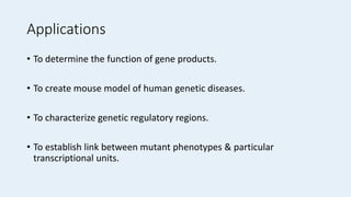 Applications
• To determine the function of gene products.
• To create mouse model of human genetic diseases.
• To characterize genetic regulatory regions.
• To establish link between mutant phenotypes & particular
transcriptional units.
 
