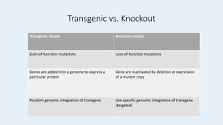 Transgenic vs. Knockout
Transgenic model Knockout model
Gain-of-function mutations Loss-of-function mutations
Genes are added into a genome to express a
particular protein
Gene are inactivated by deletion or expression
of a mutant copy
Random genomic integration of transgene site-specific genomic integration of transgene
(targeted)
 