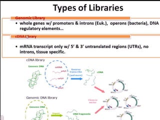 Gene libraries