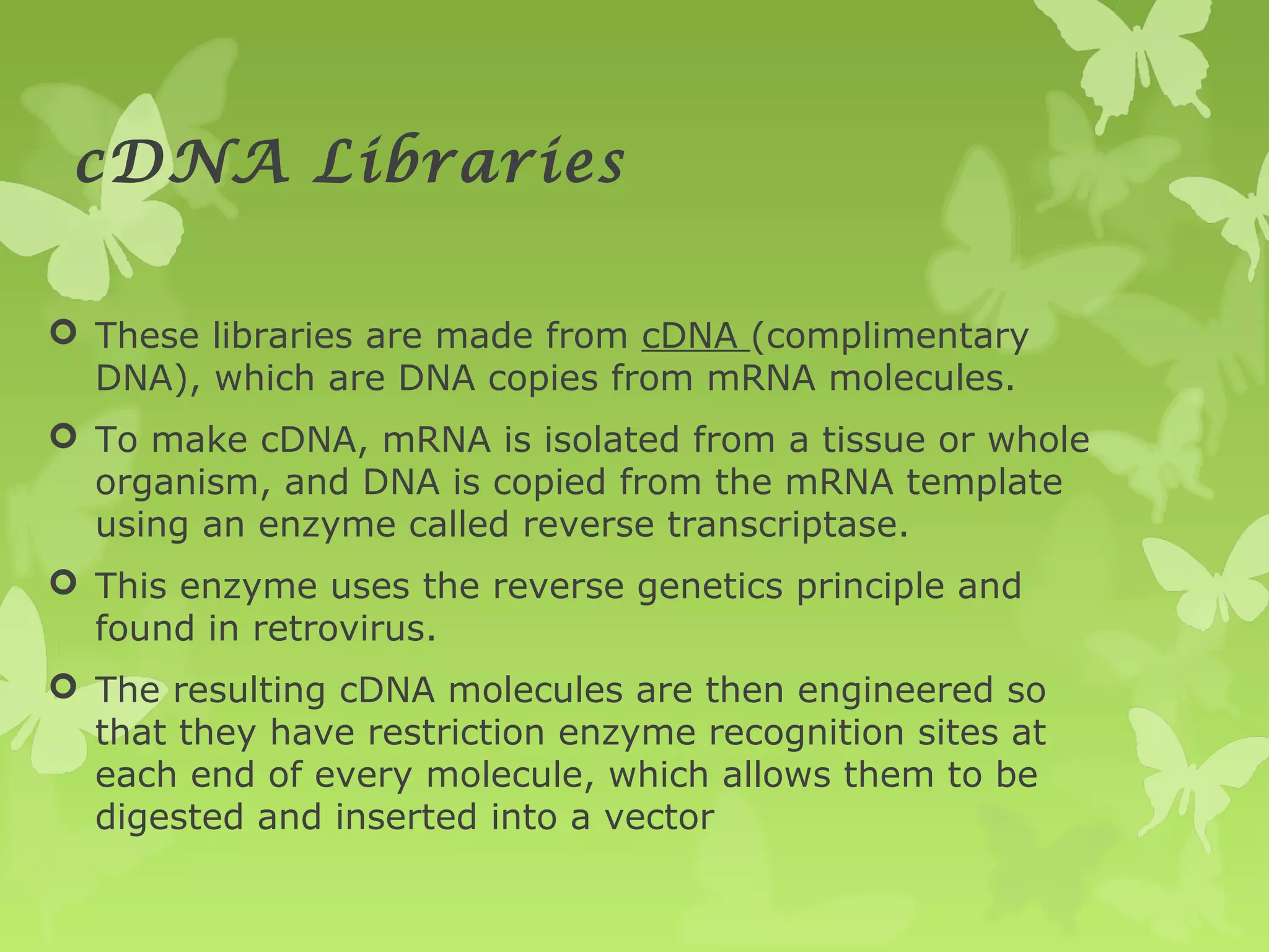 cDNA Libraries
 These libraries are made from cDNA (complimentary
DNA), which are DNA copies from mRNA molecules.
 To make cDNA, mRNA is isolated from a tissue or whole
organism, and DNA is copied from the mRNA template
using an enzyme called reverse transcriptase.
 This enzyme uses the reverse genetics principle and
found in retrovirus.
 The resulting cDNA molecules are then engineered so
that they have restriction enzyme recognition sites at
each end of every molecule, which allows them to be
digested and inserted into a vector
 
