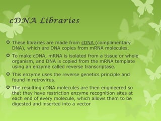 cDNA Libraries
 These libraries are made from cDNA (complimentary
DNA), which are DNA copies from mRNA molecules.
 To make cDNA, mRNA is isolated from a tissue or whole
organism, and DNA is copied from the mRNA template
using an enzyme called reverse transcriptase.
 This enzyme uses the reverse genetics principle and
found in retrovirus.
 The resulting cDNA molecules are then engineered so
that they have restriction enzyme recognition sites at
each end of every molecule, which allows them to be
digested and inserted into a vector
 