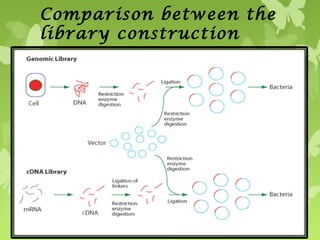 Comparison between the
library construction
 