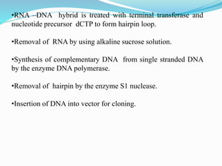 •RNA –DNA hybrid is treated with terminal transferase and
nucleotide precursor dCTP to form hairpin loop.
•Removal of RNA by using alkaline sucrose solution.
•Synthesis of complementary DNA from single stranded DNA
by the enzyme DNA polymerase.
•Removal of hairpin by the enzyme S1 nuclease.
•Insertion of DNA into vector for cloning.
 