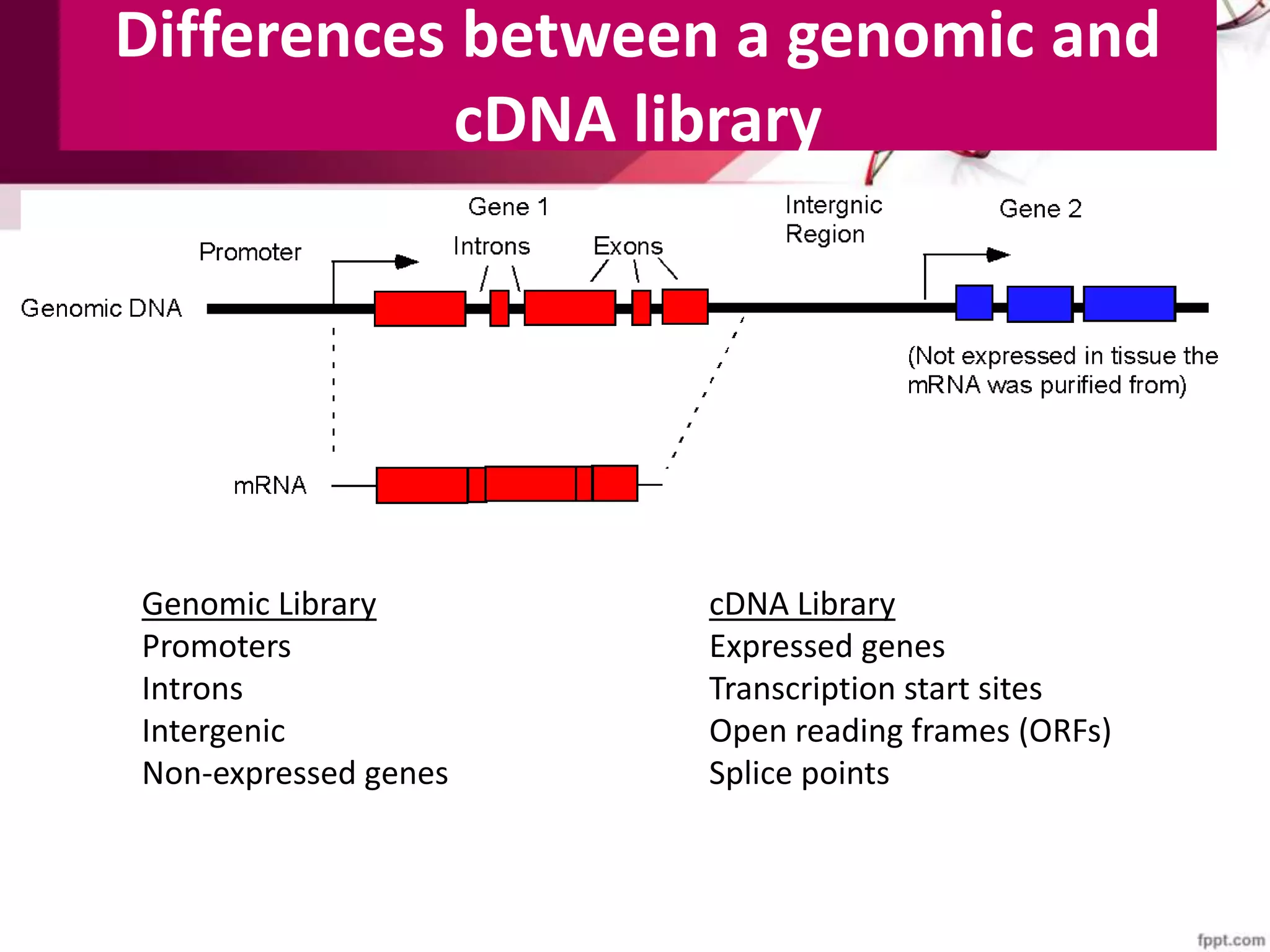 Genomic library construction | PPTX