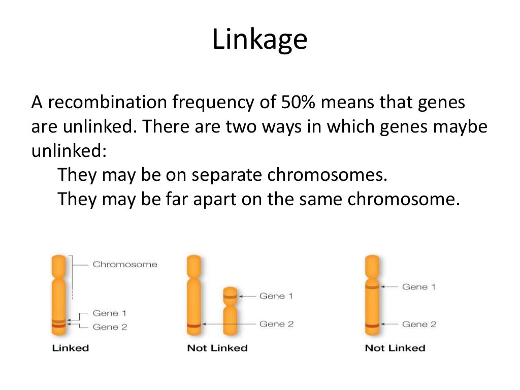 Gene linkage