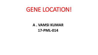 GENE LOCATION!
A . VAMSI KUMAR
17-PML-014
 