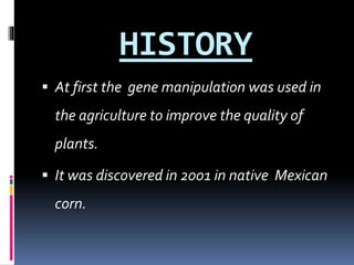 HISTORY
 At first the gene manipulation was used in
the agriculture to improve the quality of
plants.
 It was discovered in 2001 in native Mexican
corn.
 