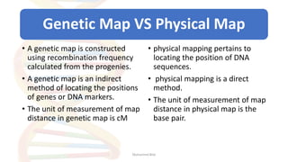 Genetic Map Vs Physical Map - Gene Mapping Genetic Map Vs Physical Map Determination Of Map Distance And Gene Order 16 320