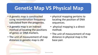 Gene mapping / Genetic map vs Physical Map | determination of map ...