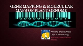 GENE MAPPING & MOLECULAR
MAPS OF PLANT GENOME
ANURAG RAGHUVANSHI
Dept. of Pharmacology
anuragraghuvanshi3@gm
ail.com
 