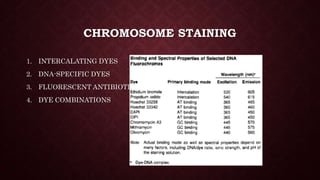 Gene mapping | PPTX