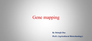Gene mapping
By Debajit Das
Ph.D. (Agricultural Biotechnology)
 