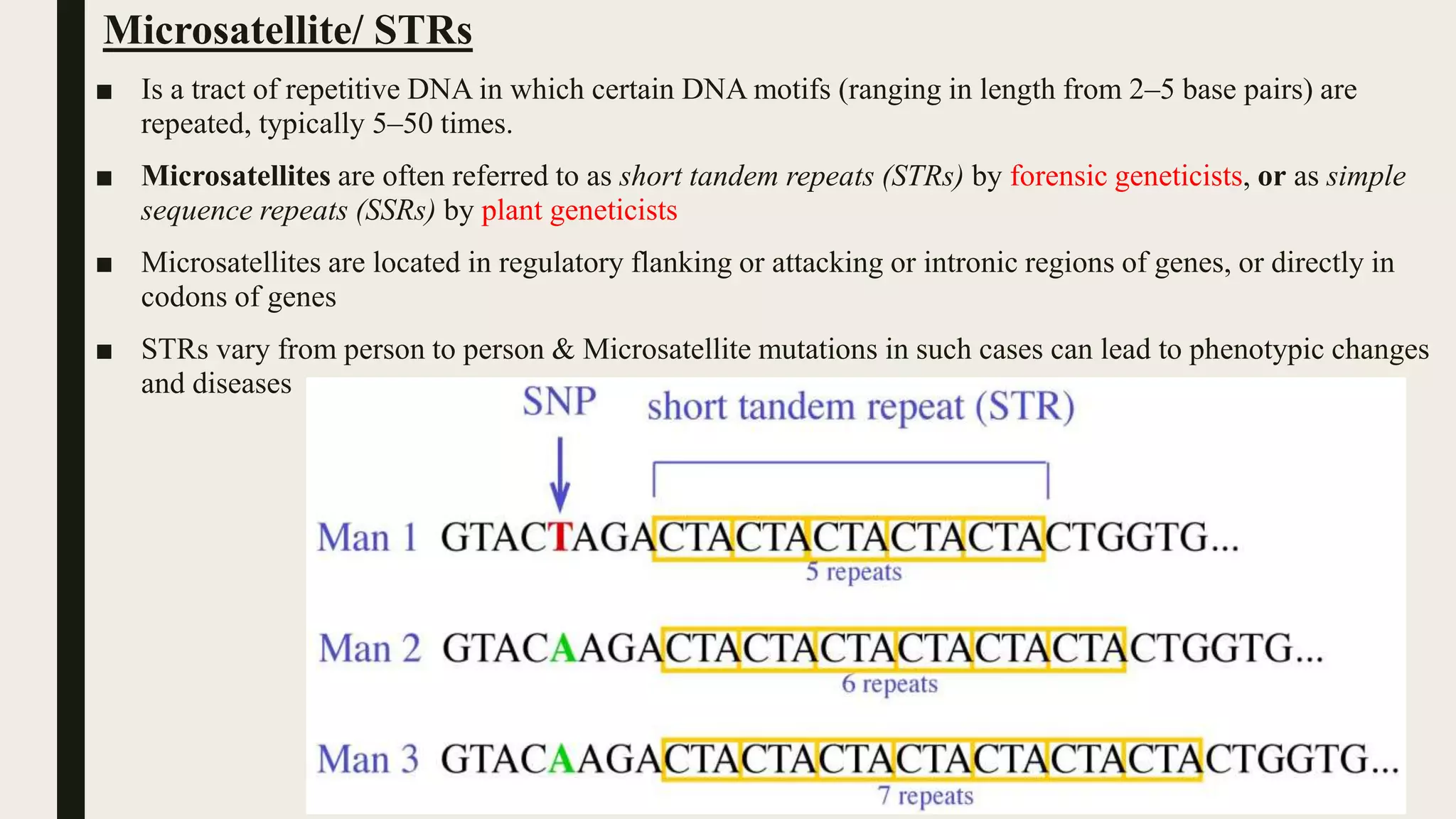 Microsatellite/ STRs
■ Is a tract of repetitive DNA in which certain DNA motifs (ranging in length from 2–5 base pairs) are
repeated, typically 5–50 times.
■ Microsatellites are often referred to as short tandem repeats (STRs) by forensic geneticists, or as simple
sequence repeats (SSRs) by plant geneticists
■ Microsatellites are located in regulatory flanking or attacking or intronic regions of genes, or directly in
codons of genes
■ STRs vary from person to person & Microsatellite mutations in such cases can lead to phenotypic changes
and diseases
 