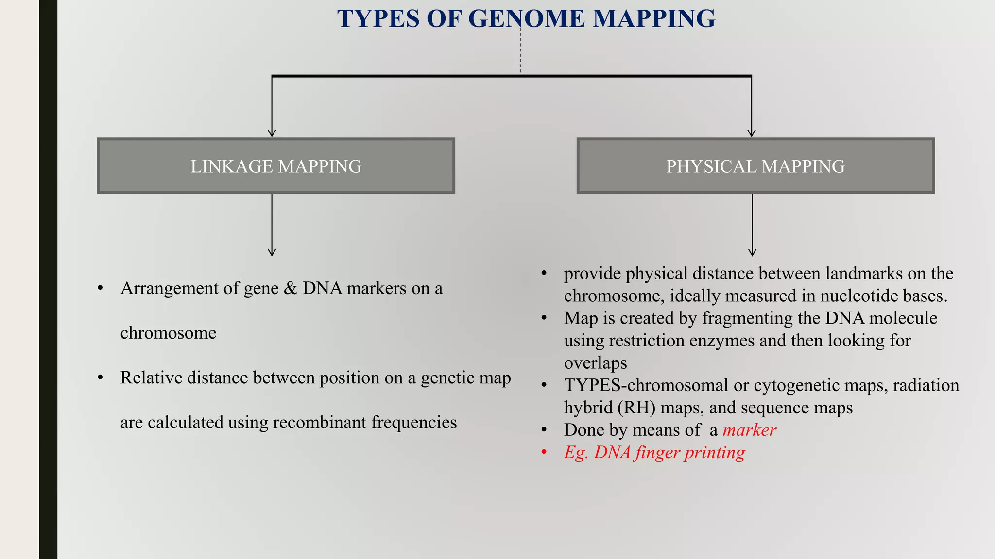 TYPES OF GENOME MAPPING
LINKAGE MAPPING PHYSICAL MAPPING
• Arrangement of gene & DNA markers on a
chromosome
• Relative distance between position on a genetic map
are calculated using recombinant frequencies
• provide physical distance between landmarks on the
chromosome, ideally measured in nucleotide bases.
• Map is created by fragmenting the DNA molecule
using restriction enzymes and then looking for
overlaps
• TYPES-chromosomal or cytogenetic maps, radiation
hybrid (RH) maps, and sequence maps
• Done by means of a marker
• Eg. DNA finger printing
 