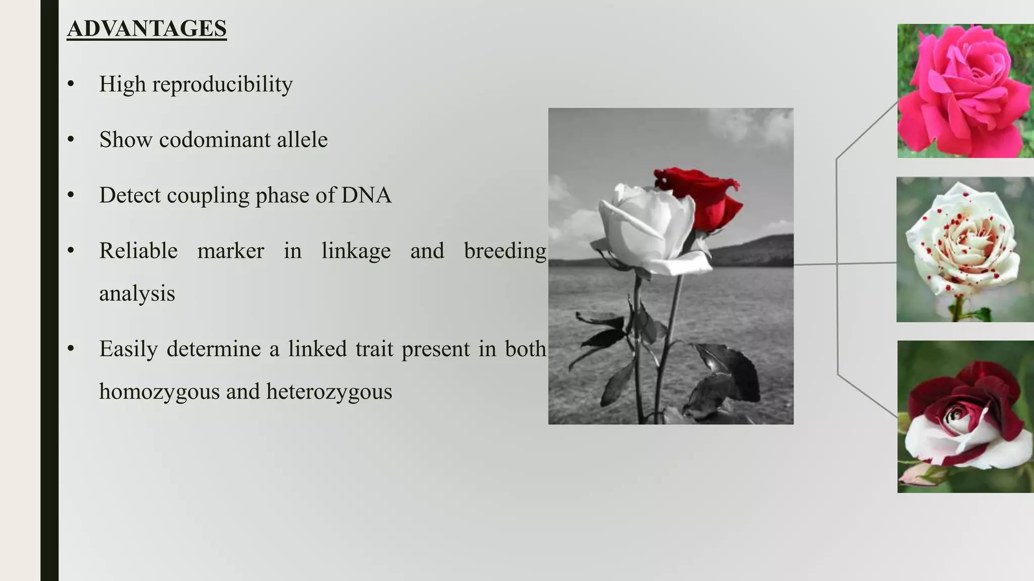 ADVANTAGES
• High reproducibility
• Show codominant allele
• Detect coupling phase of DNA
• Reliable marker in linkage and breeding
analysis
• Easily determine a linked trait present in both
homozygous and heterozygous
 