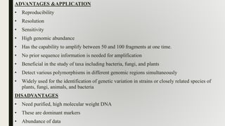 ADVANTAGES &APPLICATION
• Reproducibility
• Resolution
• Sensitivity
• High genomic abundance
• Has the capability to amplify between 50 and 100 fragments at one time.
• No prior sequence information is needed for amplification
• Beneficial in the study of taxa including bacteria, fungi, and plants
• Detect various polymorphisms in different genomic regions simultaneously
• Widely used for the identification of genetic variation in strains or closely related species of
plants, fungi, animals, and bacteria
DISADVANTAGES
• Need purified, high molecular weight DNA
• These are dominant markers
• Abundance of data
 