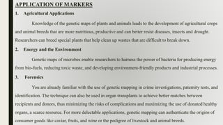 APPLICATION OF MARKERS
1. Agricultural Applications
Knowledge of the genetic maps of plants and animals leads to the development of agricultural crops
and animal breeds that are more nutritious, productive and can better resist diseases, insects and drought.
Researchers can breed special plants that help clean up wastes that are difficult to break down.
2. Energy and the Environment
Genetic maps of microbes enable researchers to harness the power of bacteria for producing energy
from bio-fuels, reducing toxic waste, and developing environment-friendly products and industrial processes.
3. Forensics
You are already familiar with the use of genetic mapping in crime investigations, paternity tests, and
identification. The technique can also be used in organ transplants to achieve better matches between
recipients and donors, thus minimizing the risks of complications and maximizing the use of donated healthy
organs, a scarce resource. For more delectable applications, genetic mapping can authenticate the origins of
consumer goods like caviar, fruits, and wine or the pedigree of livestock and animal breeds.
 
