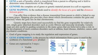  GENE-a unit of heredity which is transferred from a parent to offspring and is held to
determine some characteristic of the offspring.
 GENOME-the complete set of genes or genetic material present in a cell or organism.
 GENE MAPPING -Is the methods used to identify the locus of a gene and the distances
between genes.
Can offer firm evidence that a disease transmitted from parent to child is linked to one
or more genes. Mapping also provides clues about which chromosome contains the gene and
precisely where the gene lies on that chromosome.
Genetic maps have been used successfully to find the gene responsible for relatively
rare, single-gene inherited disorders such as cystic fibrosis and muscular dystrophy. Genetic
maps are also useful in guiding scientists to the many genes that are believed to play a role in
the development of more common disorders such as asthma, heart disease, diabetes, cancer, and
psychiatric conditions.
 Goal of gene mapping is to study the regulation and expression of genes.
 GENE EXPRESSION- is the process by which information from a gene is used in the
synthesis of a functional gene product
 Genes are expressed in 3 ways:-
 Visible
 Biochemical
 