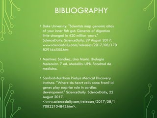 BIBLIOGRAPHY
• Duke University. "Scientists map genomic atlas
of your inner fish gut: Genetics of digestion
little-changed in 420 million years."
ScienceDaily. ScienceDaily, 29 August 2017.
www.sciencedaily.com/releases/2017/08/170
829164555.htm
• Martinez Sanchez, Lina Maria. Biología
Molecular. 7 ed. Medellin: UPB. Facultad de
medicina.
• Sanford-Burnham Prebys Medical Discovery
Institute. "Where do heart cells come from? Id
genes play surprise role in cardiac
development." ScienceDaily. ScienceDaily, 22
August 2017.
<www.sciencedaily.com/releases/2017/08/1
70822104843.htm>.
 