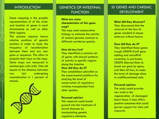 INTRODUCTION GENETICS OF INTESTINAL
FUNCTION
ID GENES AND CARDIAC
DEVELOPMENT
Gene mapping is the graphic
representation of of the order
and location of genes in each
chromosome as well as other
DNA regions.
This process requires known
relative positions of genetic
markers in order to study the
frequency of recombination
between them and any new
gene or sequence. This allow to
pinpoint their locus on the map.
Gene maps are measured in
centimorgan units (cM). One cM
equals to the distance between
two loci undergoing
recombination in 1 percent of
meiosis.
.
What are some
characteristics of this gene
map?
This map used comparative
biology to estimate the activity
of ancient genome common to
different vertebrae species.
What did they find?
They identified a common set
of genes with shared patterns
of activity in specific regions
along the intestine.
How did they do it?
They established zebrafish as
the experimental platform for
studying the level of
conservation of regulatory
switches transplanted from
other species.
Personal opinion
This research could break
ground into the treatment of
bowel diseases by
manipulating genetic
regulatory elements.
What did they discover?
They discovered that the
removal of the four Id
genes resulted in mouse
embryos without hearts.
How did they do it?
They identified these genes
trough CRISPR-Cas9 gene
editing and microRNA
screening. In particular,
CRISPR allowed them to
knock out gene by gene,
and then all four, to asses
the level of damage done
to undifferentiated cells.
Personal opinion
The study could provide
new tools in the
regeneration of damaged
heart tissue. It also offers
positive outcomes that could
garner support for stem cell
research.
 