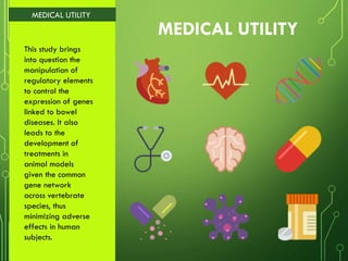 MEDICAL UTILITY
MEDICAL UTILITY
This study brings
into question the
manipulation of
regulatory elements
to control the
expression of genes
linked to bowel
diseases. It also
leads to the
development of
treatments in
animal models
given the common
gene network
across vertebrate
species, thus
minimizing adverse
effects in human
subjects.
 