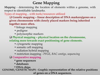 Mapping - determining the location of elements within a genome, with
respect to identifiable landmarks.
Types of mapping…with tools/resources utilized
 Genetic mapping – linear description of DNA markers/genes on a
given chromosome with closely placed markers being inherited
together more often.
• linkage mapping
• pedigree
• polymorphic markers
 Physical mapping – physical location on the chromosome,
relating more towards exact positioning of gene elements.
• cytogenetic mapping
• somatic cell mapping
• radiation hybrid mapping
• restriction mapping - PFGE, BAC contigs, sequencing
 Comparative mapping
• gene sequences
• databases
• DNA chips
Gene Mapping
GENOME / GENETIC MAPS - Graphic representation of the relative positions
of genes on a DNA sequences.
 